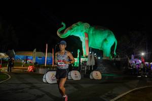 BIB: 
                            <button type="button" onclick="openModal(26552381)" class="btn btn-primary btn-sm float-right btn-popup" data-toggle="modal" data-target=".modal-high-quality">
                        <i class="fas fa-shopping-cart"></i> Add to Cart
                    </button>
                                            <button type="button" onclick="isThisMe(26552381, true)" class="btn btn-success btn-sm float-right btn-popup btn-isme hidden" data-toggle="tooltip" data-placement="bottom" title="นี่คือรูปของคุณใช่ไหม คลิกที่นี่เพื่อเอาเข้าอัลบั้ม">
                        <i class="fas fa-plus"></i> Add to album
                    </button>
                    <button type="button" onclick="isThisMe(26552381, false)" class="btn btn-warning btn-sm float-right btn-popup btn-isnotme hidden">
                        <i class="fas fa-ban"></i> Remove from album
                    </button>